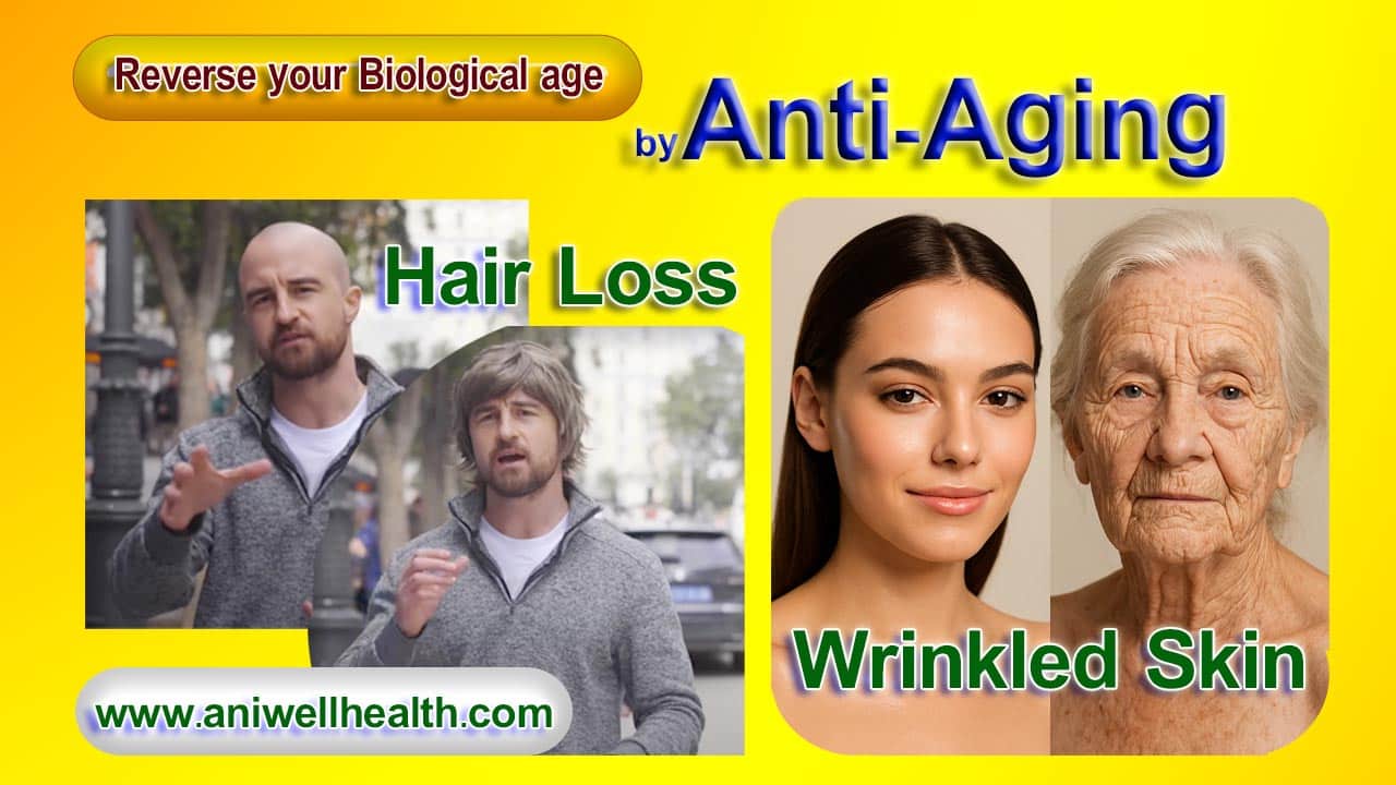 Anti Aging