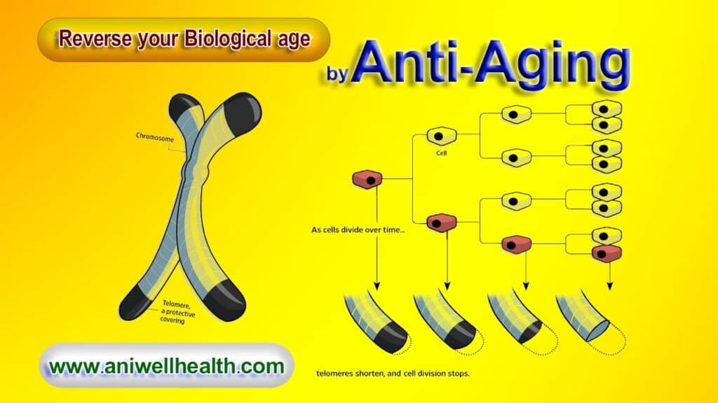 Anti Aging 02
